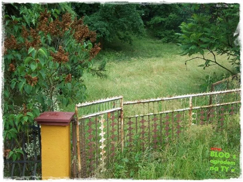 Co warto wiedzieć po zakupie działki: praktyczny przewodnik dla nowych właścicieli