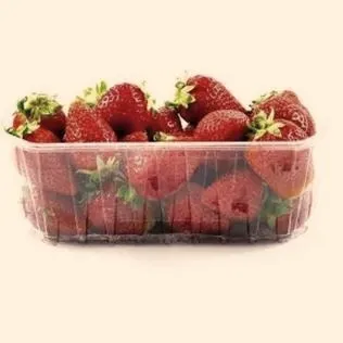 Jak uprawiać truskawki? Sprawdź nasz sklep sadzonkitruskawek.pl!