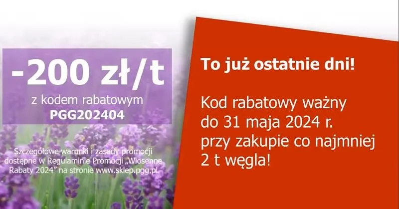 Jakie rośliny idealnie komponują się z lawendą na rabacie?