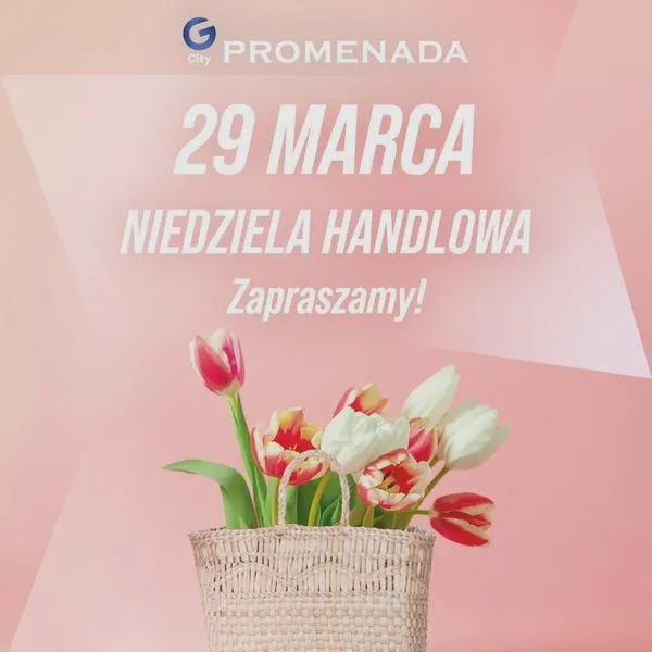 Od kiedy sklepy w niedzielę są otwarte? Sprawdź najnowsze zmiany!