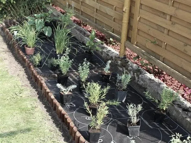 Aranżacja rabaty przed domem