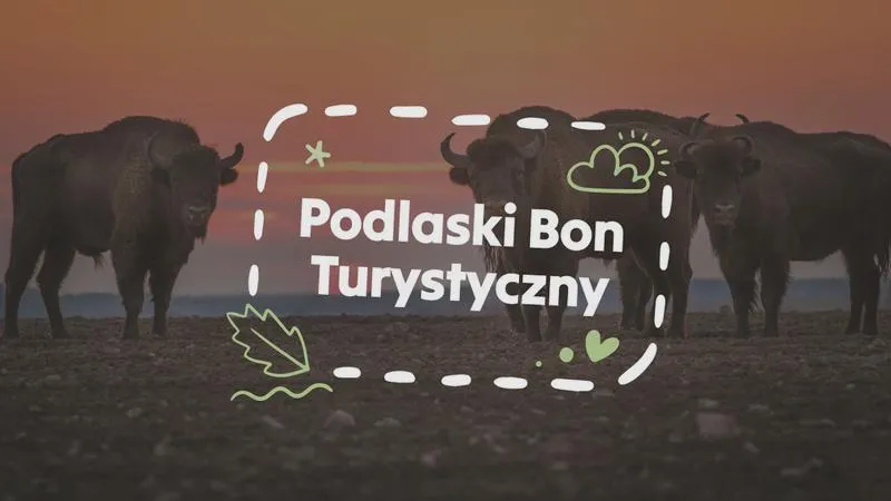 Bon turystyczny