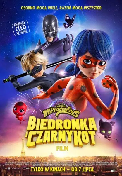 Historia Biedronki