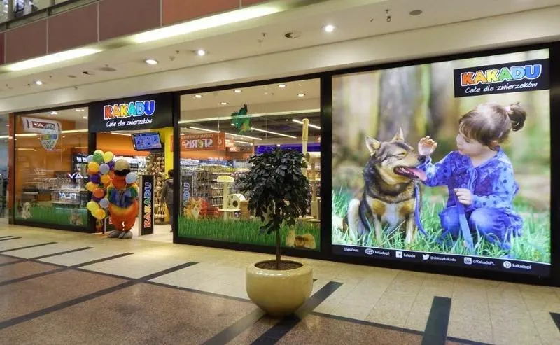 Koszty sklepu zoologicznego