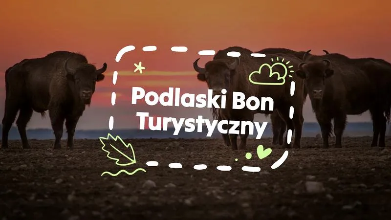 Kupon turystyczny