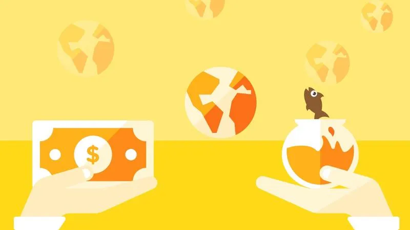 Procedury celne importu