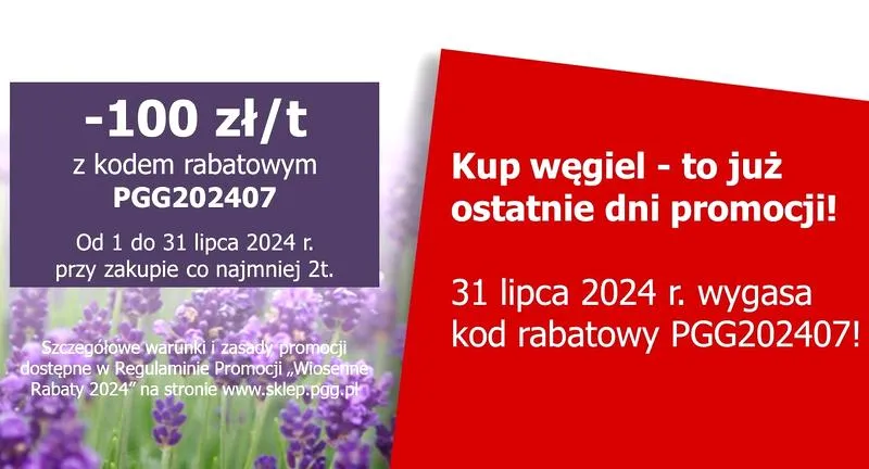 Rośliny w ogrodzie