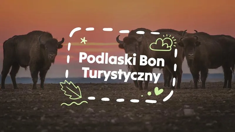 Usługi hotelarskie