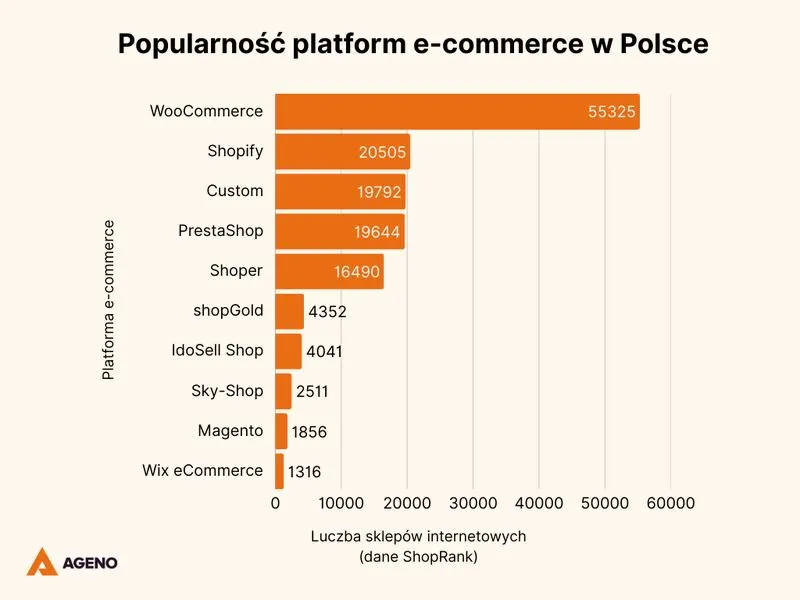 Wybór domeny internetowej