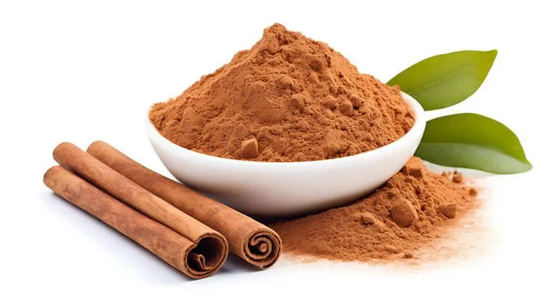 Zmysły i zapachy w literaturze