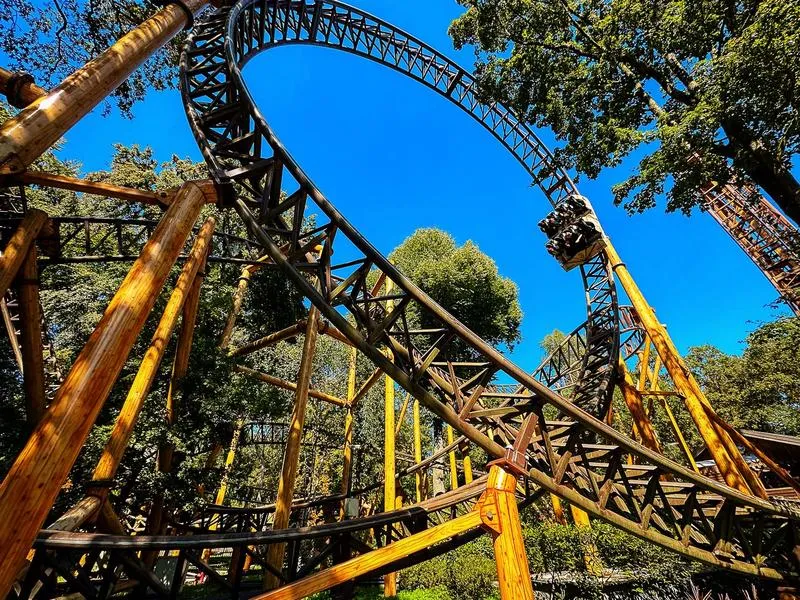 Życie codzienne w Holandii